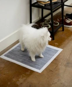 Frisco Charcoal Dog Training & Potty Pads, 22 x 23-in, Unscented 11 Frisco Charcoal Dog Training & Potty Pads, 22 x 23-in, Unscented -PetNest Shop 227456 PT6. SY630 V1604701986