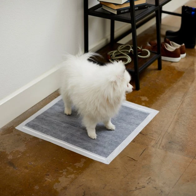 Frisco Charcoal Dog Training & Potty Pads, 22 x 23-in, Unscented 7 Frisco Charcoal Dog Training & Potty Pads, 22 x 23-in, Unscented - Image 5