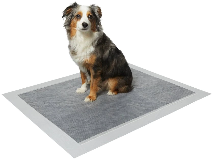 Frisco Extra Large Charcoal Dog Training & Potty Pads, 28 x 34-in, Unscented 4 Frisco Extra Large Charcoal Dog Training & Potty Pads, 28 x 34-in, Unscented - Image 2
