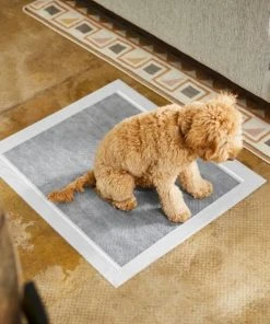 Frisco Extra Large Charcoal Dog Training & Potty Pads, 28 x 34-in, Unscented 11 Frisco Extra Large Charcoal Dog Training & Potty Pads, 28 x 34-in, Unscented -PetNest Shop 227459 PT6. SY630 V1604701315