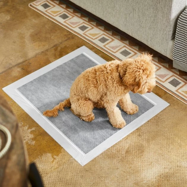 Frisco Extra Large Charcoal Dog Training & Potty Pads, 28 x 34-in, Unscented 7 Frisco Extra Large Charcoal Dog Training & Potty Pads, 28 x 34-in, Unscented - Image 5