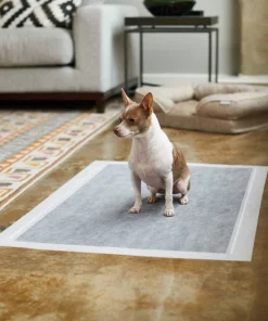 Frisco Giant Charcoal Dog Training & Potty Pads, 27.5 x 44-in, Unscented -PetNest Shop 227462 PT6. SY630 V1604701065