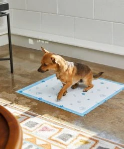 Frisco Printed Dog Training & Potty Pads, 22 x 23-in, Unscented 11 Frisco Printed Dog Training & Potty Pads, 22 x 23-in, Unscented -PetNest Shop 227465 PT6. SY630 V1604701913