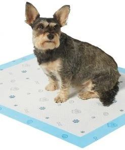 Frisco Extra Large Printed Dog Training & Potty Pads, 28 x 34-in, Unscented -PetNest Shop 227468 PT1. SY630 V1604674714