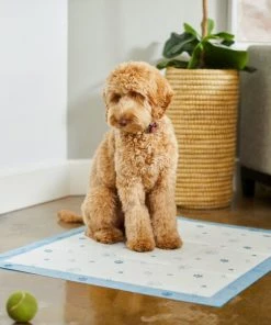 Frisco Extra Large Printed Dog Training & Potty Pads, 28 x 34-in, Unscented -PetNest Shop 227468 PT6. SY630 V1604701633