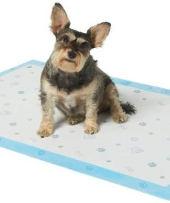 Frisco Giant Printed Dog Training & Potty Pads, 27.5 x 44-in, Unscented -PetNest Shop 227471 PT1. SY630 V1604673531