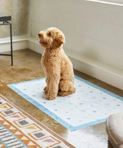 Frisco Giant Printed Dog Training & Potty Pads, 27.5 x 44-in, Unscented -PetNest Shop 227471 PT6. SY630 V1604701622