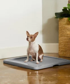 Frisco Training Pad Holder -PetNest Shop 227474 PT6. SY630 V1604701643