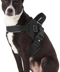 Frisco Big Dog Harness -PetNest Shop 227874 PT4. SY630 V1603409794