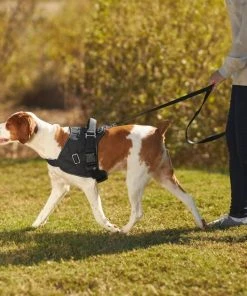 Frisco Big Dog Harness -PetNest Shop 227874 PT6. SY630 V1604446013