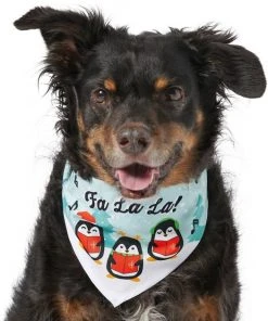 Frisco Fa La La Dog & Cat Bandana -PetNest Shop 228977 PT2. SY630 V1637670991
