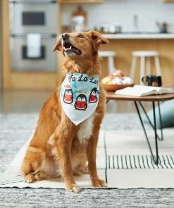 Frisco Fa La La Dog & Cat Bandana -PetNest Shop 228977 PT4. SY630 V1637727442