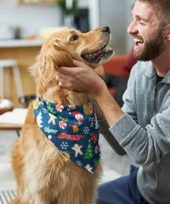 Frisco Holiday & New Years Dog & Cat Bandana, 2 pack 16 Frisco Holiday & New Years Dog & Cat Bandana, 2 pack -PetNest Shop 228983 PT6. SY630 V1637659015