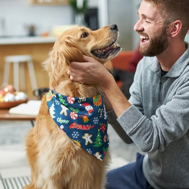 Frisco Holiday & New Years Dog & Cat Bandana, 2 pack 10 Frisco Holiday & New Years Dog & Cat Bandana, 2 pack - Image 8