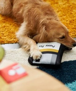 Frisco Retro Floppy Disc Ballistic Nylon Plush Squeaky Dog Toy -PetNest Shop 230304 PT3. SY630 V1602639753