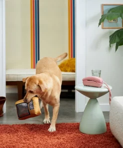 Frisco Retro Television Ballistic Nylon Plush Squeaky Dog Toy -PetNest Shop 230308 PT3. SY630 V1601947325