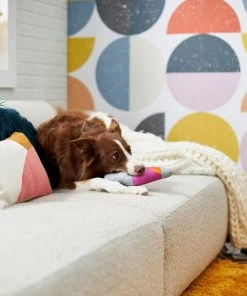 Frisco Retro Lava Lamp Ballistic Nylon Plush Squeaky Dog Toy 7 Frisco Retro Lava Lamp Ballistic Nylon Plush Squeaky Dog Toy -PetNest Shop 230310 PT3. SY630 V1601947330