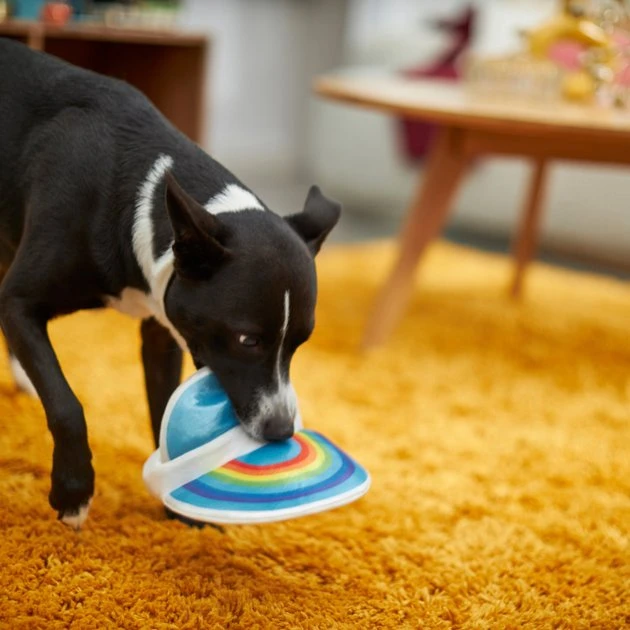 Frisco Retro Visor Plush Squeaky Dog Toy 5 Frisco Retro Visor Plush Squeaky Dog Toy - Image 3