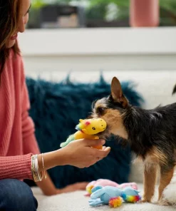 Frisco Retro Colorful Pony Plush Squeaky Dog Toy -PetNest Shop 230357 PT3. SY630 V1601947361