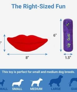 Frisco Retro Lip Gloss Plush Squeaky Dog Toy -PetNest Shop 230365 PT1. SY630 V1599943557