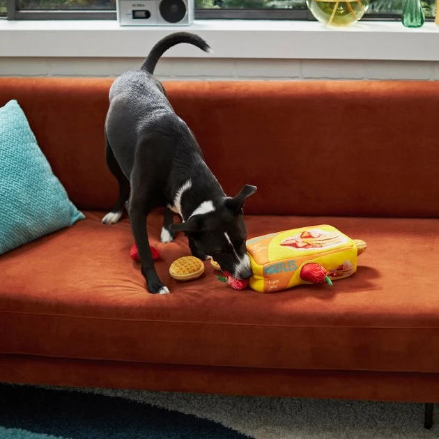 Frisco Retro Waffle Box Hide & Seek Plush Puzzle Squeaky Dog Toy 6 Frisco Retro Waffle Box Hide & Seek Plush Puzzle Squeaky Dog Toy - Image 4