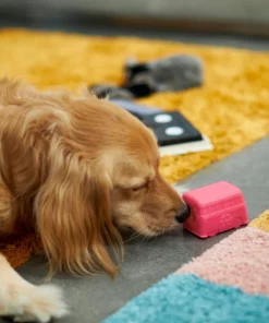 Frisco Retro Funky Van TPE Treat Dispenser Dog Toy -PetNest Shop 230382 PT3. SY630 V1602639677