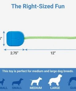 Frisco Retro PC Mouse Rubber Tug & Fetch Dog Toy -PetNest Shop 230385 PT1. SY630 V1599943590