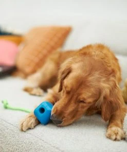 Frisco Retro PC Mouse Rubber Tug & Fetch Dog Toy -PetNest Shop 230385 PT3. SY630 V1606953426