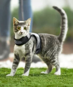 Frisco Wrap Cat Harness -PetNest Shop 230690 PT5. SY630 V1601080866