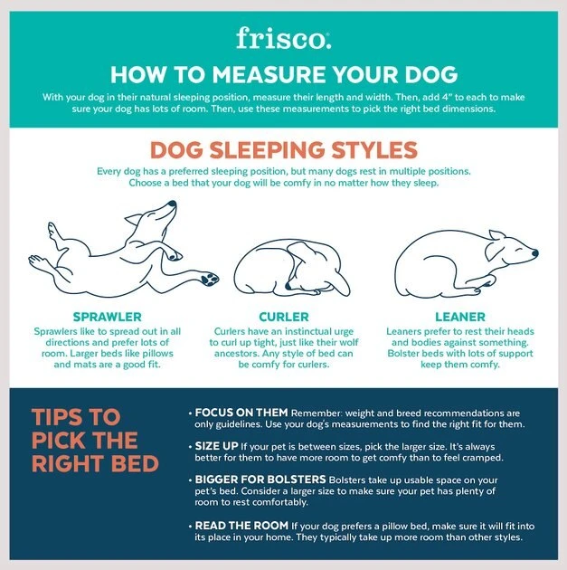 Frisco Orthopedic Pillow Cat & Dog Bed 6 Frisco Orthopedic Pillow Cat & Dog Bed - Image 4