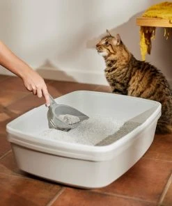 Frisco Odor Defense Honeysuckle Scented Clumping Clay Cat Litter -PetNest Shop 230712 PT4. SY630 V1659023725