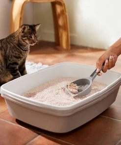 Frisco Natural Lightly Scented Clumping Grass Cat Litter -PetNest Shop 230714 PT4. SY630 V1659023184