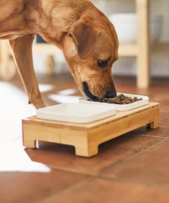 Frisco Square Melamine Dog & Cat Bowl Set with Bamboo Stand -PetNest Shop 232076 PT8. SY630 V1605757015