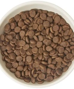 Frisco Double-Sided Ceramic Elevated Cat Bowl, 1.25 cups -PetNest Shop 232081 PT3. SY630 V1605145964