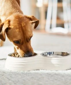 Frisco Stainless Steel Double Dog Bowls with Melamine Stand -PetNest Shop 232091 PT8. SY630 V1605738450
