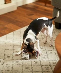 Frisco Ballot Box Hide-and-Seek Puzzle Dog Toy Refill, 3 count -PetNest Shop 233571 PT3. SY630 V1600973757