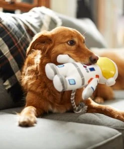 Frisco Ballistic Nylon Plush with Rope Squeaky Astronaut Dog Toy -PetNest Shop 233585 PT3. SY630 V1600973761