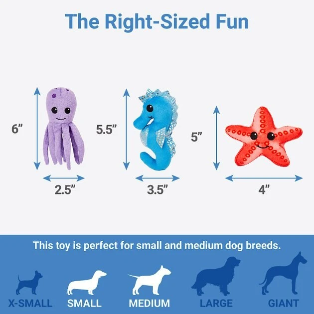 Frisco Hide & Seek Plush Coral Puzzle Dog Toy 5 Frisco Hide & Seek Plush Coral Puzzle Dog Toy - Image 3