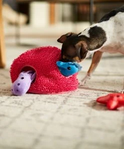 Frisco Hide & Seek Plush Coral Puzzle Dog Toy 9 Frisco Hide & Seek Plush Coral Puzzle Dog Toy -PetNest Shop 233595 PT3. SY630 V1600973820