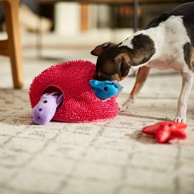 Frisco Hide & Seek Plush Coral Puzzle Dog Toy 6 Frisco Hide & Seek Plush Coral Puzzle Dog Toy - Image 4