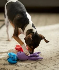 Frisco Hide & Seek Plush Coral Puzzle Dog Toy Refill, 3 count -PetNest Shop 233597 PT3. SY630 V1600973853