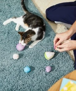 Frisco Birthday Bundle Cat Toy with Catnip, 5 count 7 Frisco Birthday Bundle Cat Toy with Catnip, 5 count -PetNest Shop 233599 PT2. SY630 V1600974070