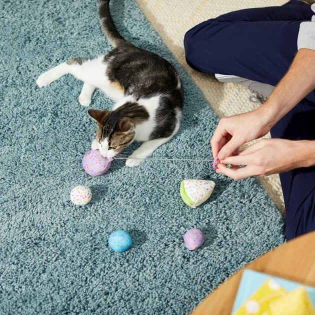 Frisco Birthday Bundle Cat Toy with Catnip, 5 count 5 Frisco Birthday Bundle Cat Toy with Catnip, 5 count - Image 3