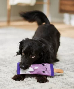 Frisco Popsicle Firehose Squeaky Dog Toy -PetNest Shop 233607 PT3. SY630 V1600974055