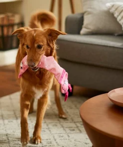 Frisco Flamingo Firehose Squeaky Dog Toy -PetNest Shop 233609 PT3. SY630 V1600974084