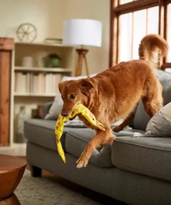 Frisco Giraffe Firehose Squeaky Dog Toy -PetNest Shop 233611 PT3. SY630 V1600974060