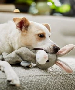Frisco Bungee Plush Squeaky Bunny Dog Toy -PetNest Shop 233612 PT3. SY630 V1600974360