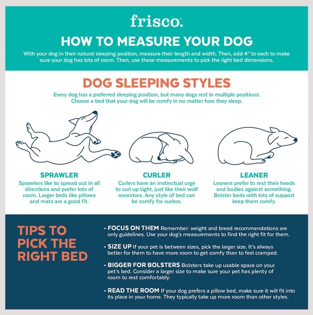 Frisco Plush Pouf Pillow Cat & Dog Bed 6 Frisco Plush Pouf Pillow Cat & Dog Bed - Image 4