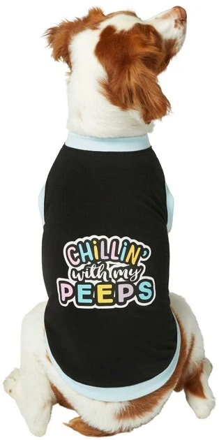 Frisco Chillin' With My Peeps Dog & Cat T-shirt 5 Frisco Chillin' With My Peeps Dog & Cat T-shirt - Image 3