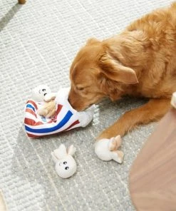 Frisco Zoomies & Chill Popcorn Hide & Seek Plush Squeaky Puzzle Dog Toy -PetNest Shop 241679 PT6. SY630 V1610756768